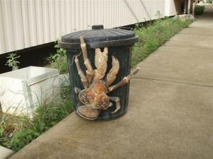 coconutcrab.jpg