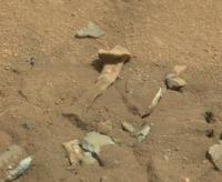 thigh-bone-on-mars.jpg